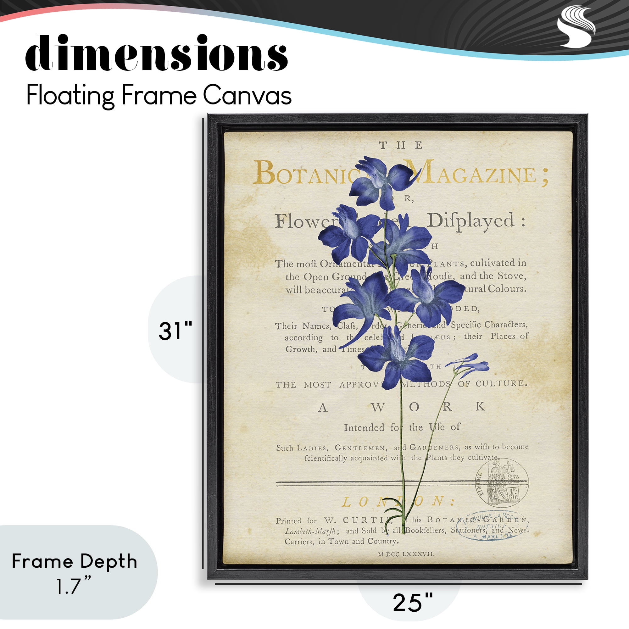 Stupell Industries Natural Botanic Garden Flower Black Framed Floater Canvas Wall Art, design by Susan Arnot