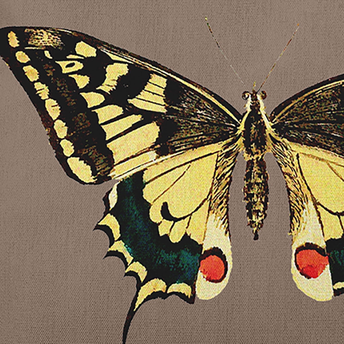 Simply Daisy 16-inch Square Rare Swallowtail Poly Throw Pillow, Brown Qty 1