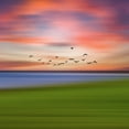 thumbnail image 2 of Vitomirov, Igor 26x26 White Modern Wood Framed Museum Art Print Titled - Birds In The Sunset, 2 of 4