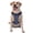 With Accessories, variant on Vsdgher Blue Flower Skull Pattern Dog Harness,No Pull Pet Harness with Soft Padded Handle,Adjustable Reflective Vest with 2 Buckles,4 Slide Buckles,S-XL Medium