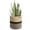 Black and Jute, variant on RibRave Sturdy Jute Rope Plant Basket Modern Woven Basket up to 7.5 Inch Flower Pot Floor Indoor Planters, 8” x 8” Storage Organizer Baskets Rustic Home Decor, Black Stripes