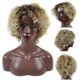 thumbnail image 1 of Las pelucas naturales de moda del estilo europeo forman el pelo falso de la peluca sintética para la fiesta de cumpleaños ShuxiuWang 8390611665821, 1 of 1