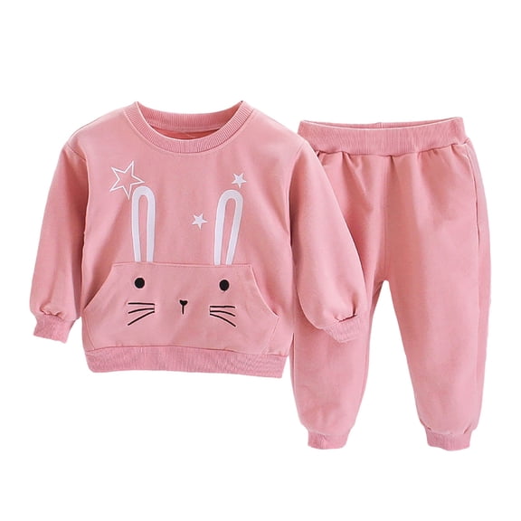 Duqingm Toddler Girls Outfit Sets- Cute Casual Cotton Long Sleeve Tees and Pants Kids Fall Winter Clothes (Pink,9-12 Months)