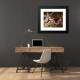 thumbnail image 4 of Abraham Bloemaert 24x20 Black Modern Framed Museum Art Print Titled - Without Bacchus and Eat Cold Venus, 4 of 5