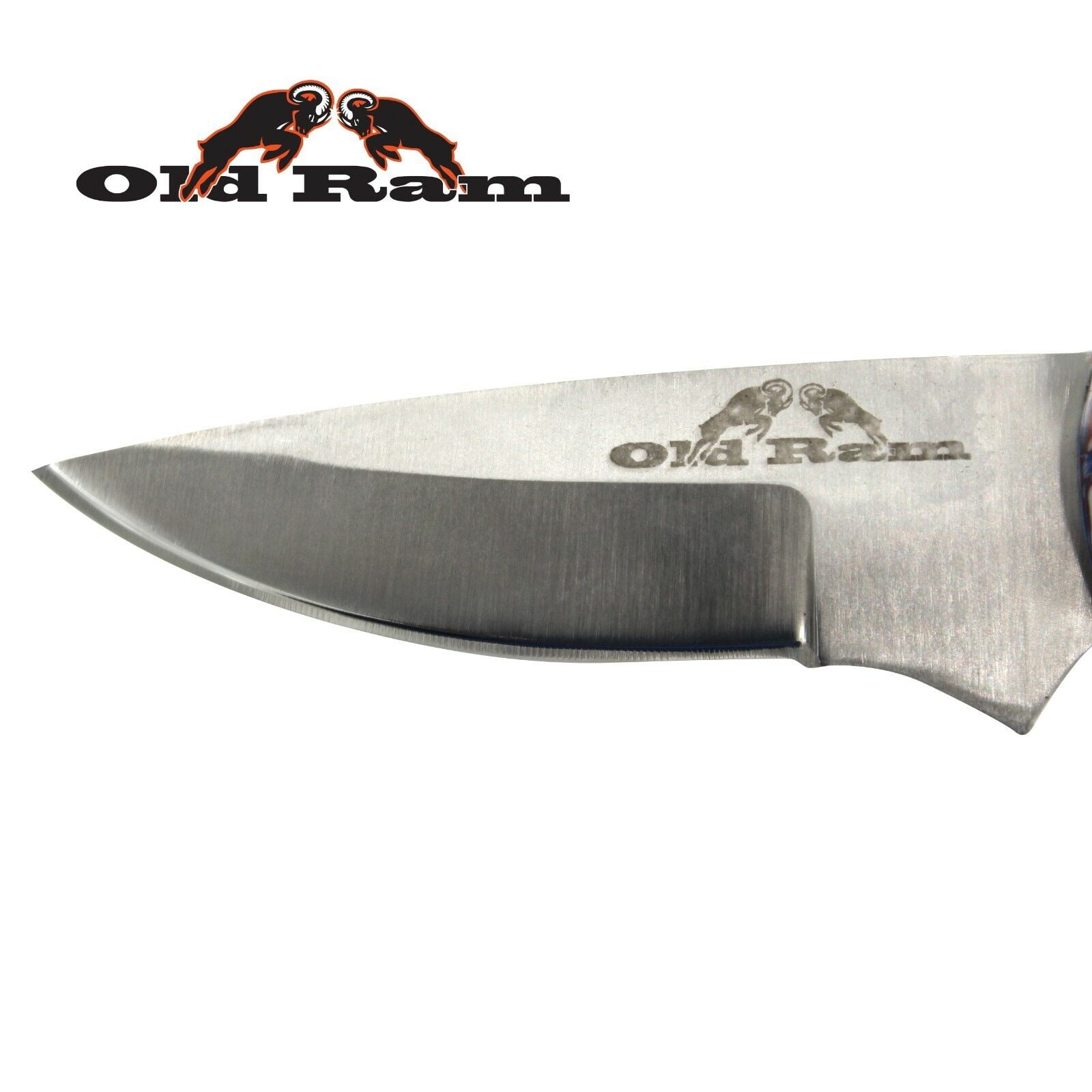Old Ram Collection Heavy Duty Fixed Blade Skinner Knife w/ Leather Sheath
