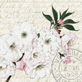 thumbnail image 2 of Kimberly, Allen 20x20 Black Ornate Wood Framed with Double Matting Museum Art Print Titled - Cherry Blossom 3, 2 of 4