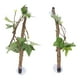 thumbnail image 1 of Terrario de ramas esquineras para reptiles, decoración vegetal con ventosas para anfibios, lagartos, serpientes y trepadores., 1 of 14