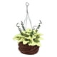 thumbnail image 1 of s colgantes artificiales, de mimbre hecha , plantas para casa de a 1:12, muebles, juguetes, de, 1 of 7