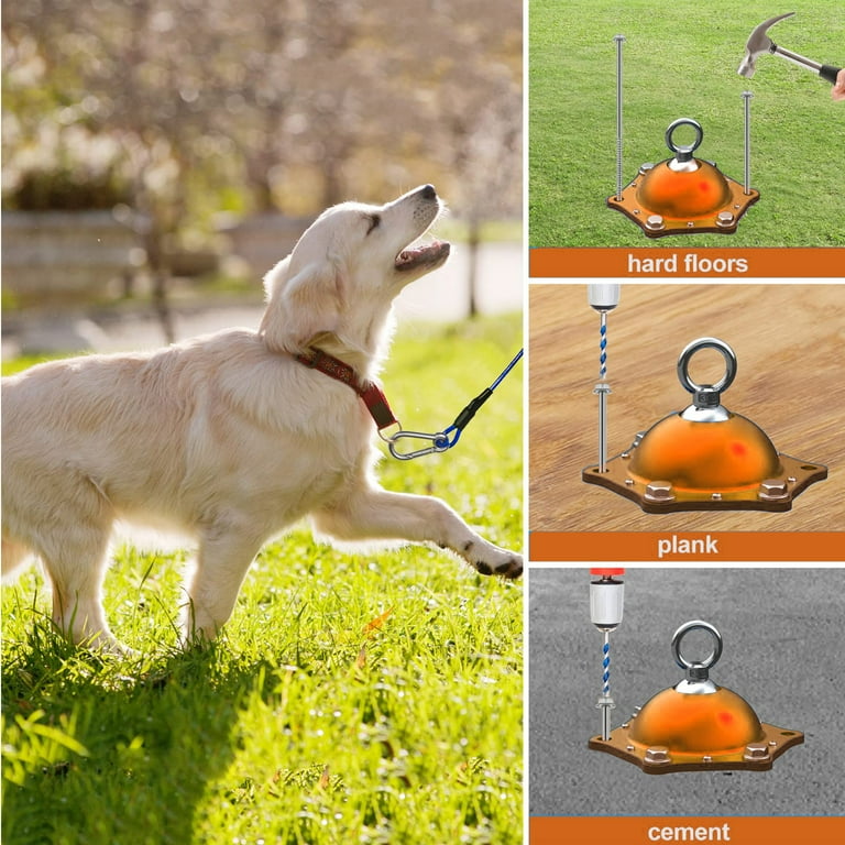 Dog Tie Out Cable and Ground Stake 10 Ft photo 3