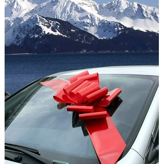EcoEarth 18 Inch Big Red Birthday Bow, Giant Car Bow / Gift Bow (US  Company) 