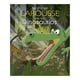 thumbnail image 1 of Mi Primer Larousse de los Dinosaurios Larousse Benoit Delalandre, 1 of 2