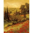 thumbnail image 2 of Fronckowiak, Art 20x24 White Modern Wood Framed Museum Art Print Titled - Toscano Valley II, 2 of 4
