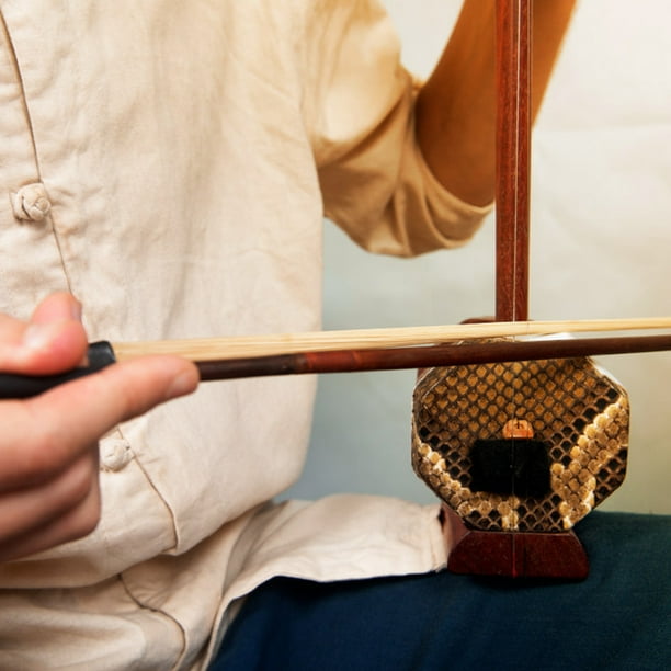 Cheveux d'Archet de Violon Naturel, Cheveux de Cheval d'Archet, 31.5en  Réparation Pratique l'Archet Cassé Erhu Arcs Violoncelle pour Remplacer  Vieux