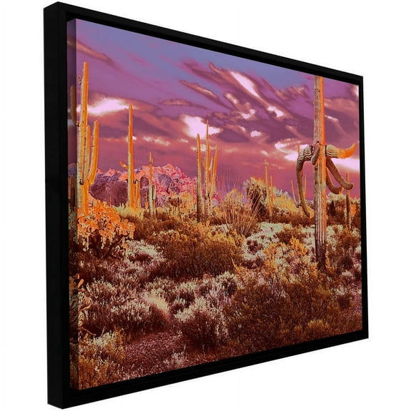ArtWall Dean Uhlinger "Before Borders" Floater Framed Gallery-Wrapped Canvas
