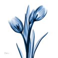 thumbnail image 3 of Koetsier, Albert 12x12 Black Modern Framed Museum Art Print Titled - Indigo Loved Tulips, 3 of 5