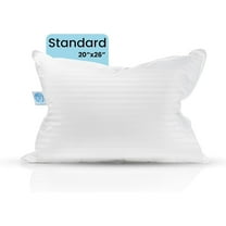 East Coast Bedding Balanced Dream 50/50 Goose Feather Down Pillow Pack of 1, Standard Size