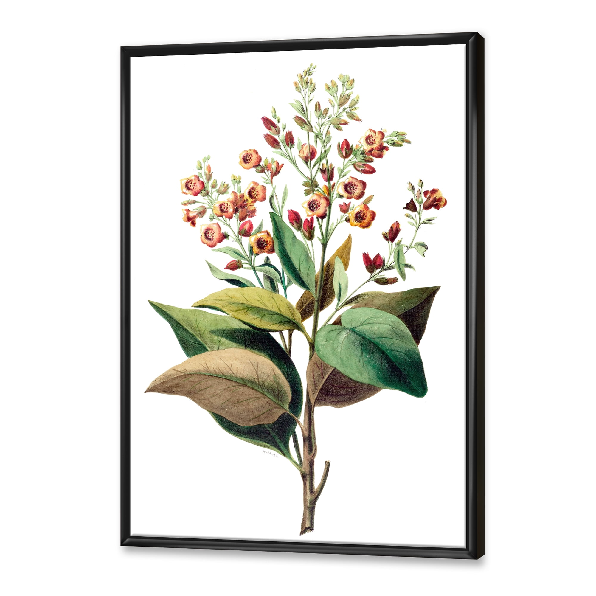 Designart 'American Vintage Flowers II' Traditional Framed Canvas Wall Art Print