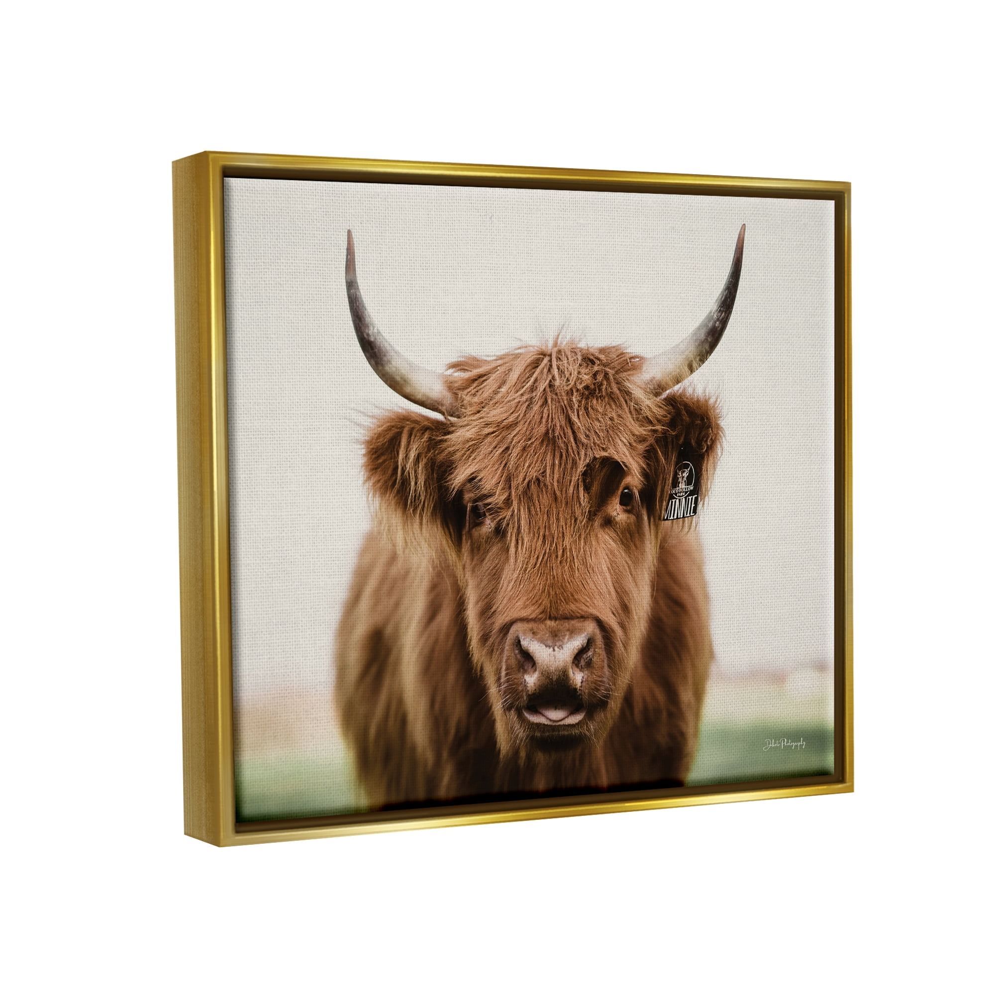 Stupell Industries Farmhouse Cattle Photography Animals & Insects Photography Gold Floater Framed Art Print Wall Art, 31 x 25