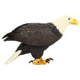 thumbnail image 2 of Domqga Bald Eagle Figurine,Bald Eagle Ornament,Bald Eagle Ornament Lifelike Hand Painted Educational Props Bald Eagle Decoration, 2 of 8