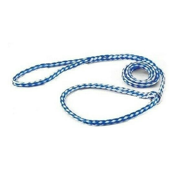 Braided Poly Dog Leads Slip Style Kennel Pet Leash O Ring 5ft Long Choose Color (Blue/White - 36 Pack)