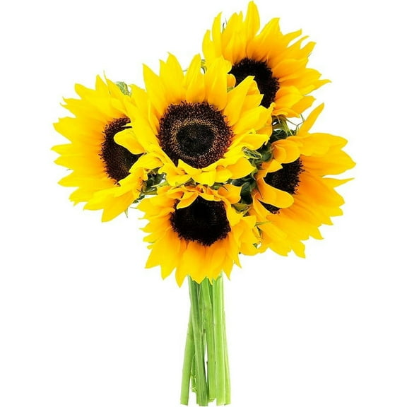 KaBloom : 10 Yellow Sunflowers, Next-Day Delivery, Gift for Every Occasion.