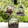 thumbnail image 2 of D'Eco Glass Geometric Plant Terrarium 3Pk - Hanging Brass Triangle, House & Prism Planters - Succulents, Air Plants, Moss - Home, Wedding & Office Decor- Gift Idea for Plant Lovers, 2 of 5