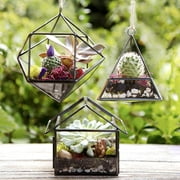 Deco Glass Geometric Brass Terrarium 3 pack, Succulent & Air Plant- Mini Triangle (10x10x10 cm), Mini House (9x9x10 cm), Mini Prism (10x8x10 cm)- Modern DIY Garden Centerpiece Decor- Amazing Gift
