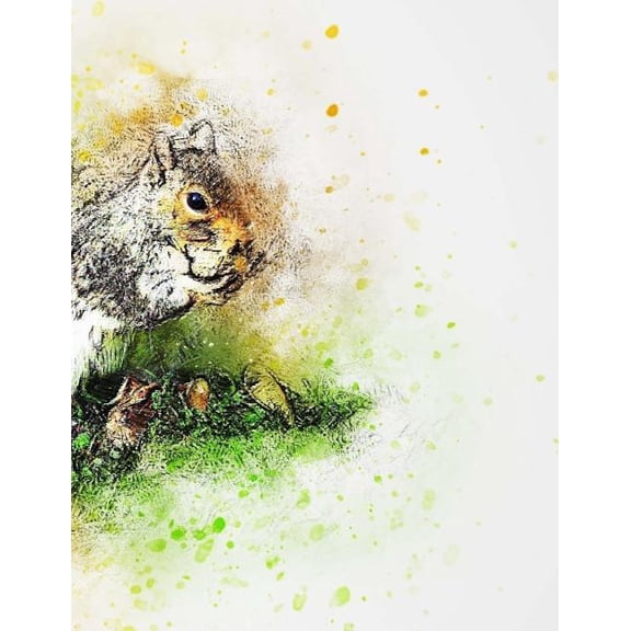 Squirrel (Paperback)