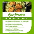 thumbnail image 4 of Just Bare Fully Cooked Lightly Breaded Chicken Breast Original Fillets 12 lb, 22g of Protein, Serving Size 1 Pieces, 4 of 13