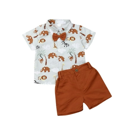 

Sunisery 2PCS Toddler Kids Baby Boys Printed Animals T-Shirt Tops Solid Color Short Pants Summer Outfits Multicolor 1-2 Years