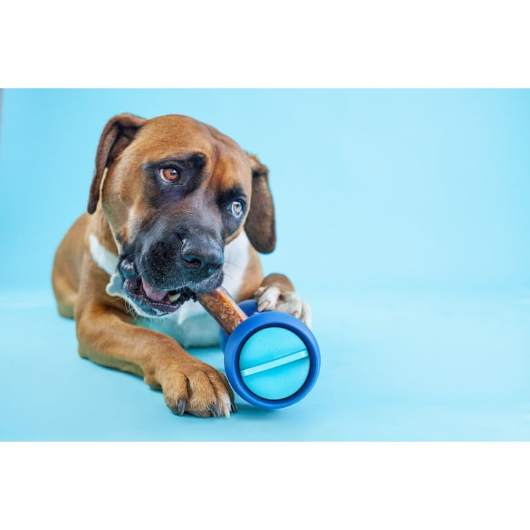 Bow wow labs store bully stick holder