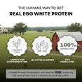 thumbnail image 3 of Healthier Comforts Animal-Free Egg White Protein Powder (8oz) | Unflavored | Vegan Egg Omelet, Angel Food Cake, Meringue, Shakes, Baking | Cholesterol-Free, Dairy-Free, High Protein, 3 of 8