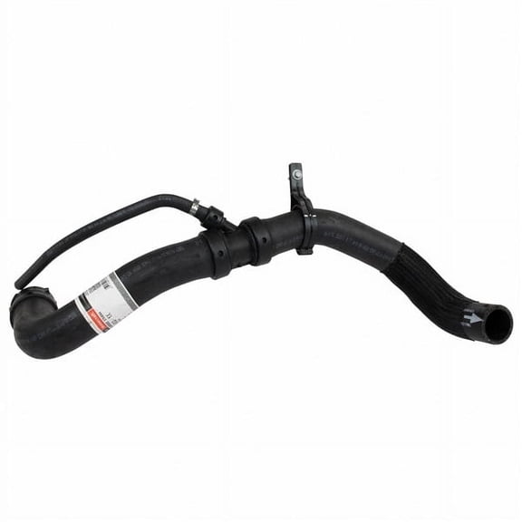 Motorcraft HOSE-RADIATOR (P)