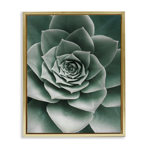 Stupell Industries Scandinavian Green Succulent Photography Gold Floating Frame Canvas Art, 17 x 21, by Sisi and Seb