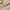 Beige, variant on Mepaouo Womens Walking Shoes Leather Square Toe Low Wedges Casual Shoes Slip On Work Shoes