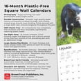 thumbnail image 6 of Piglets 2025 12 X 24 Inch Monthly Square Wall Calendar Plastic-Free, (Paperback), 6 of 9