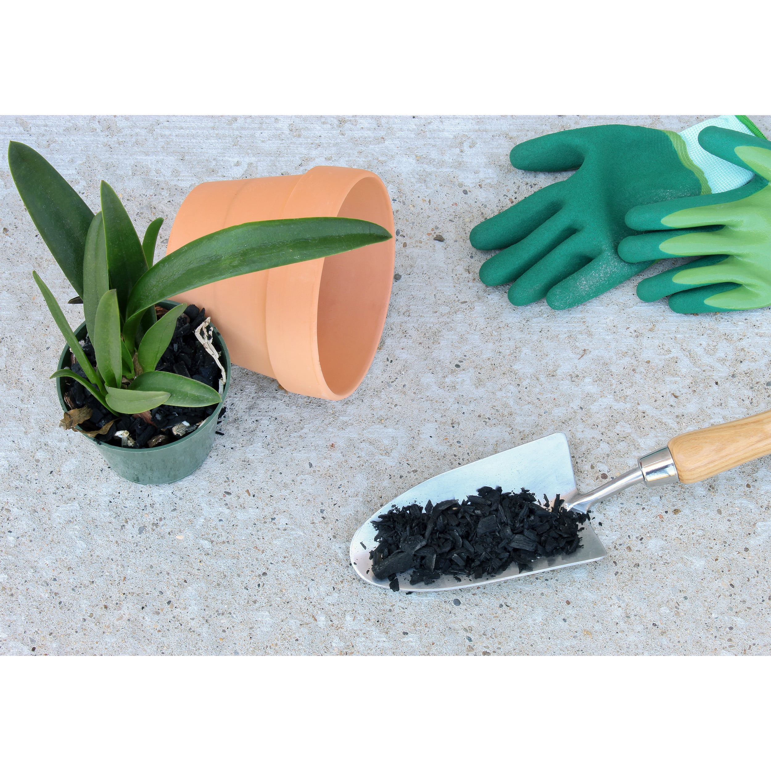 Horticultural Charcoal, Natural Cleanser for Plants, Soil Conditioner,  Helps With Toxins and Excess Moisture 