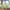 Green, variant on Sakmal Yellow Leggings Women Soft Plus Size Beach High Waisted Yoga Pants Swim Gradient 7/8th Leggings