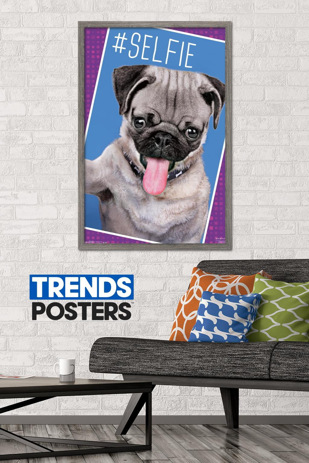 Keith Kimberlin - Kittens - Pug - Selfie Wall Poster, 22.375" x 34", Framed