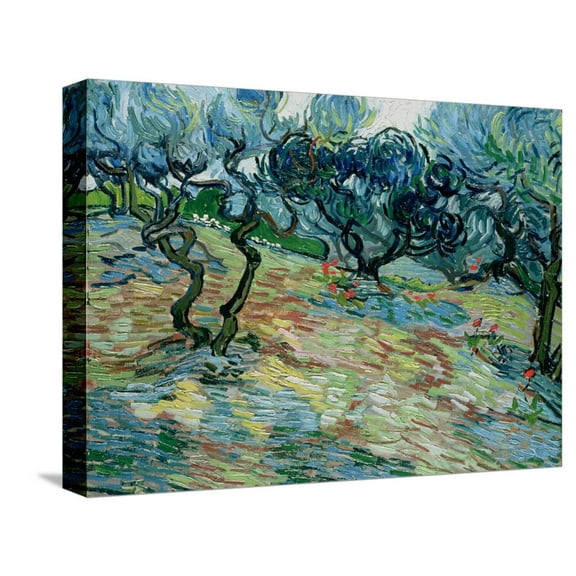 Art.com Olive Trees, 1889 Stretched Canvas Print Wall Art by Vincent van Gogh, 16" x 12"