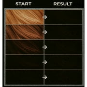 Glossy Black Permanent Kit