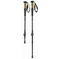 thumbnail image 1 of RWD Clip-Lock Walking Stick, 1 of 2