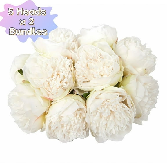 Kabuer Artificial Cream Peony Silk Flowers 10 Heads - Home, Office, Wedding, Party, and Holiday Decor
