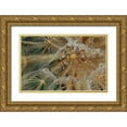 thumbnail image 1 of Filosofo, El 32x22 Gold Ornate Wood Framed with Double Matting Museum Art Print Titled - Starless, 1 of 4