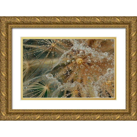 Filosofo, El 32x22 Gold Ornate Wood Framed with Double Matting Museum Art Print Titled - Starless
