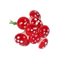 thumbnail image 1 of Matsuzay Craft Mixed Red Artificial Flower Cherry Stamen Berries Bundle DIY Christmas Wedding Cake Caja de regalo Decoración Flores artificiales Tipo18 10 piezas Matsuzay HA002022-18, 1 of 5