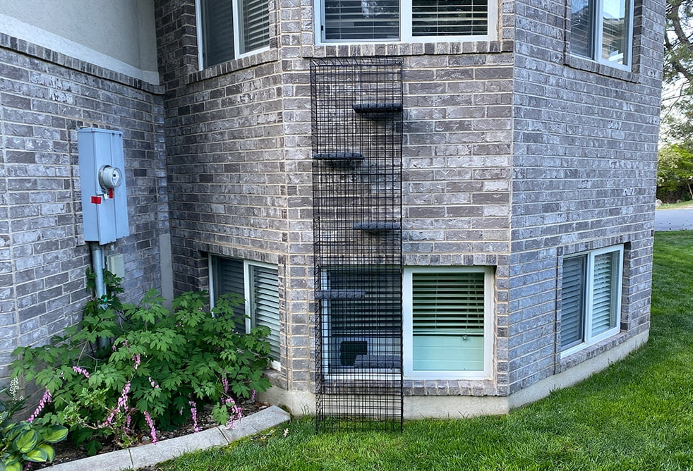 catio walmart