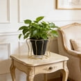 View all media