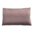thumbnail image 1 of Ahgly Company Indoor Rectangular Contemporary Lumbar Throw Pillow, 13 inch by 19 inch, 1 of 5
