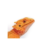 Safari Ltd. Bearded Dragon Figurine - Lifelike 8.5 Model Figure - Educational Toy for Boys, Girls, and Kids Ages 18M+